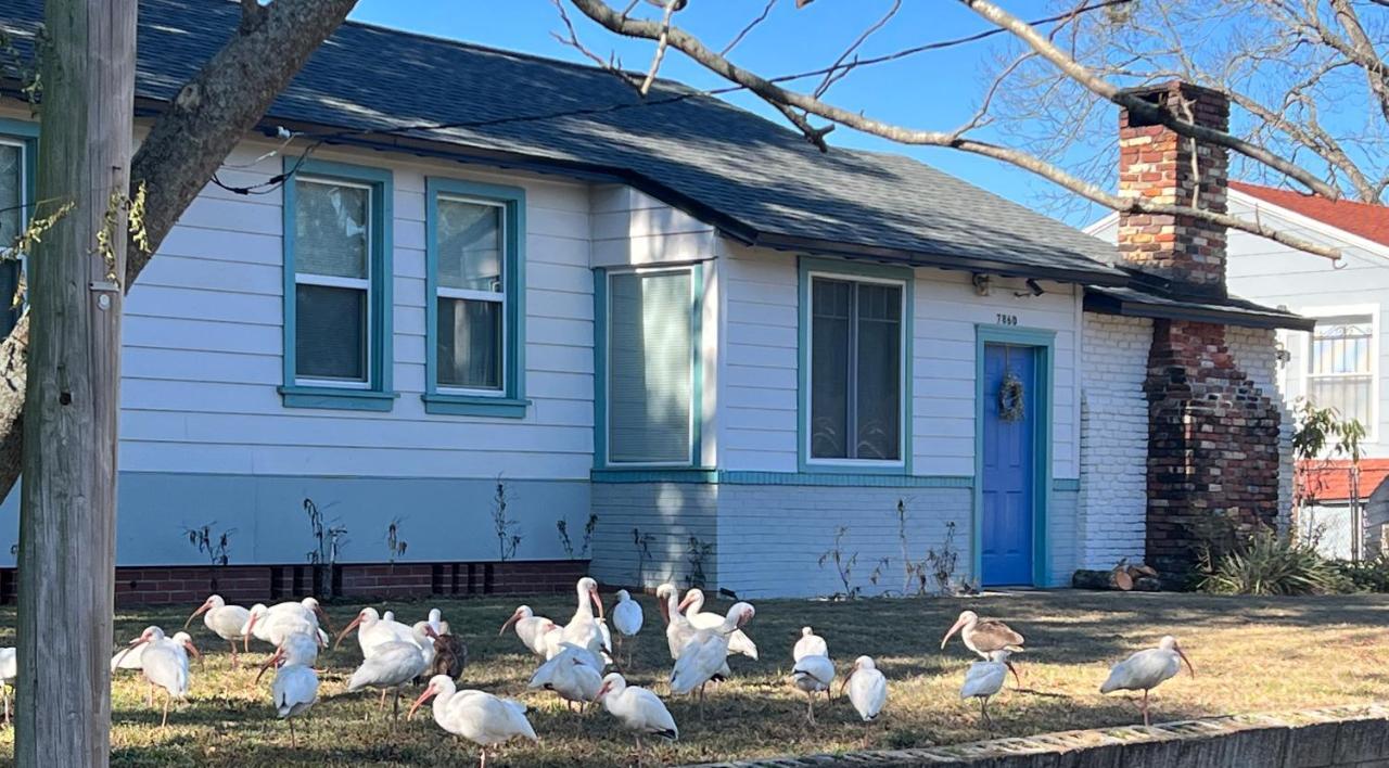 Pool Home Sleeps 6 With Large Fenced Yard Jacksonville Bagian luar foto